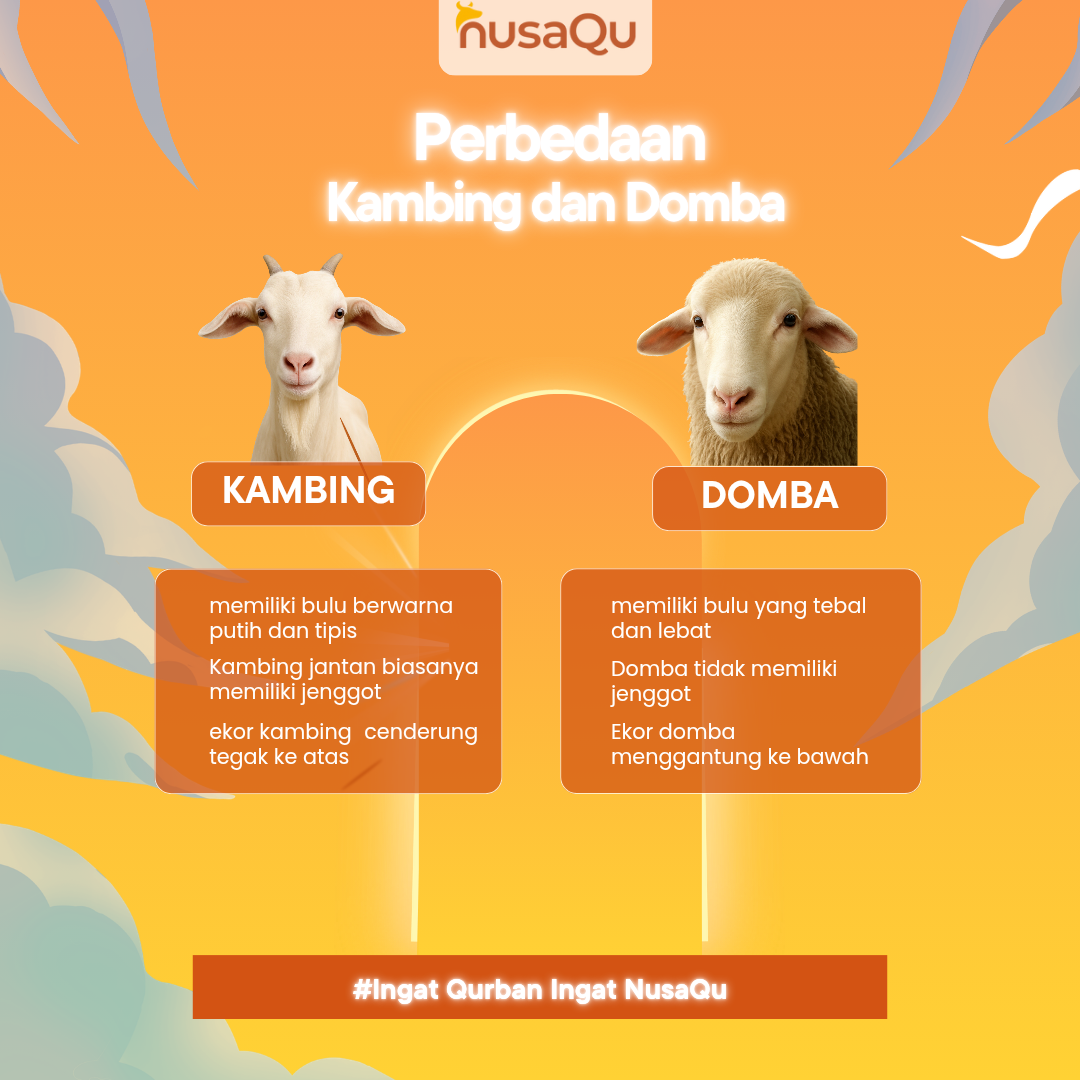 Gambar Artikel