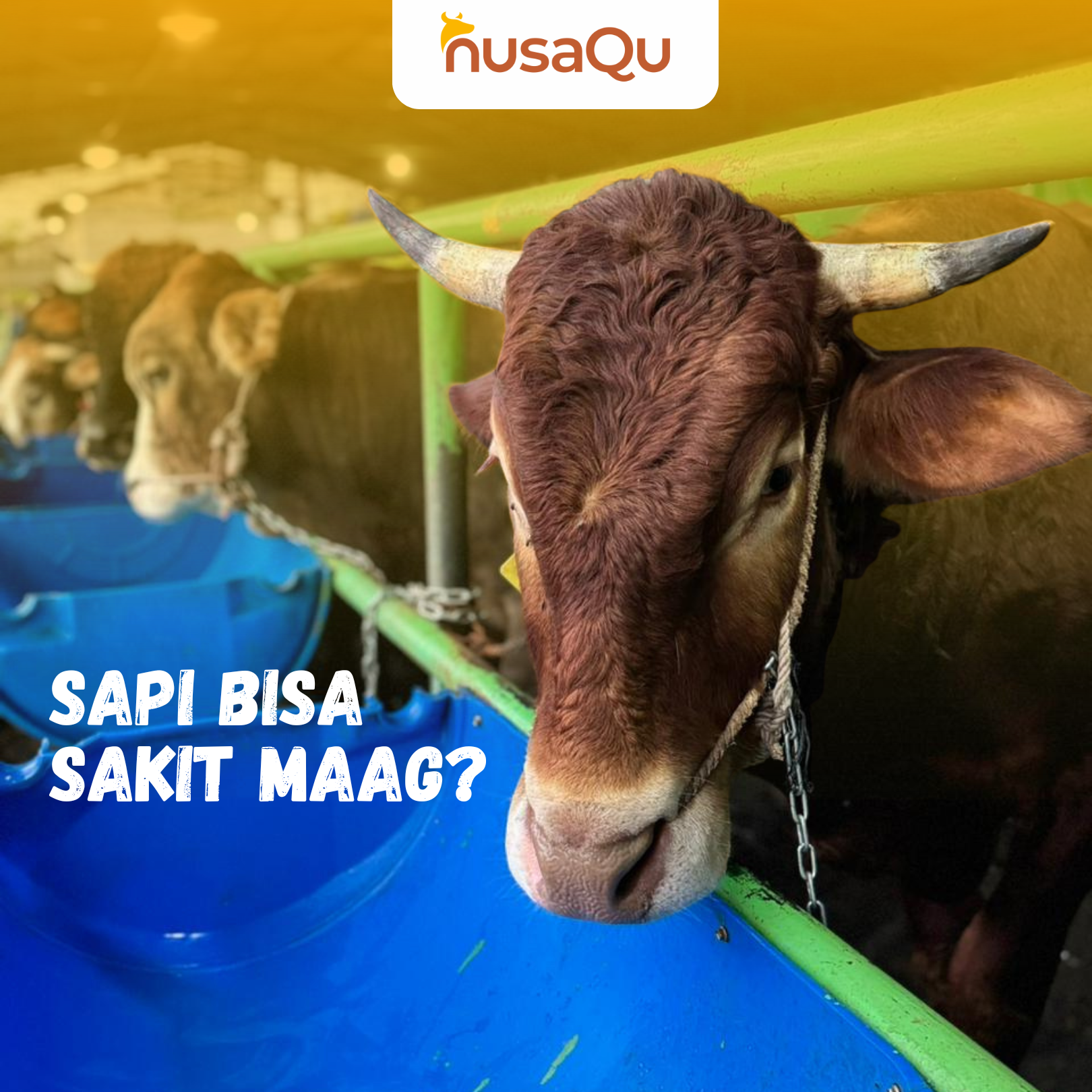 Gambar Artikel