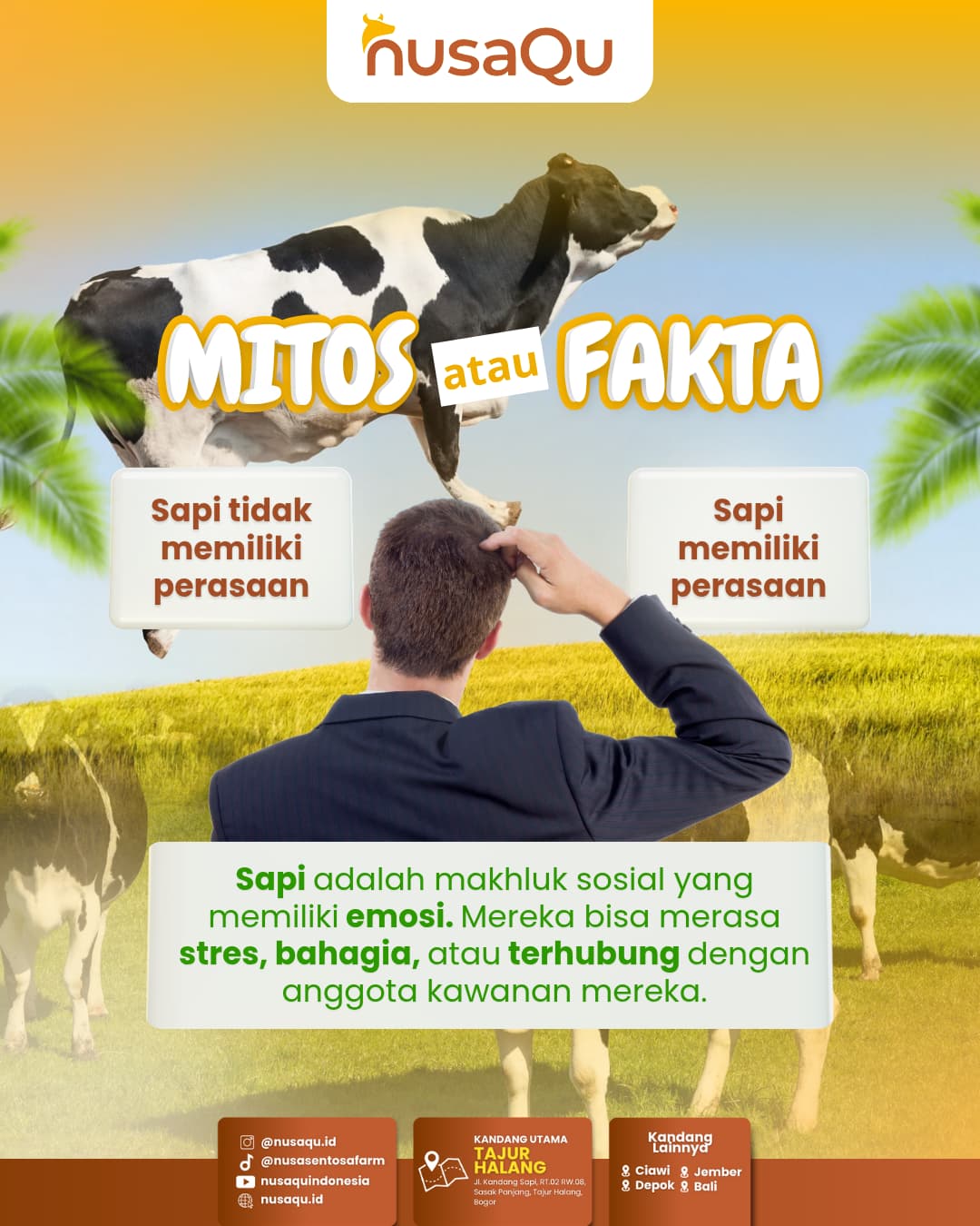 Gambar Artikel