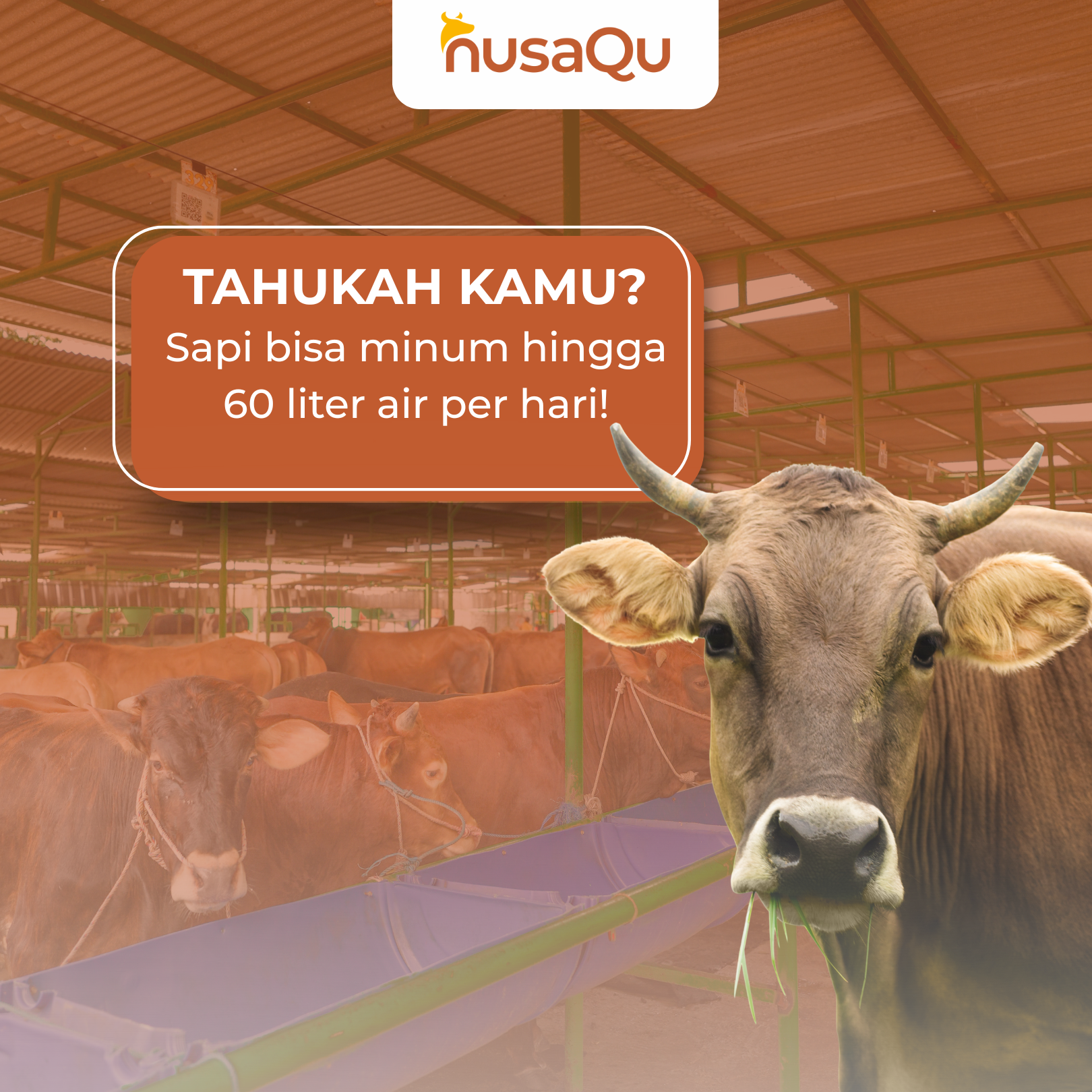 Gambar Artikel