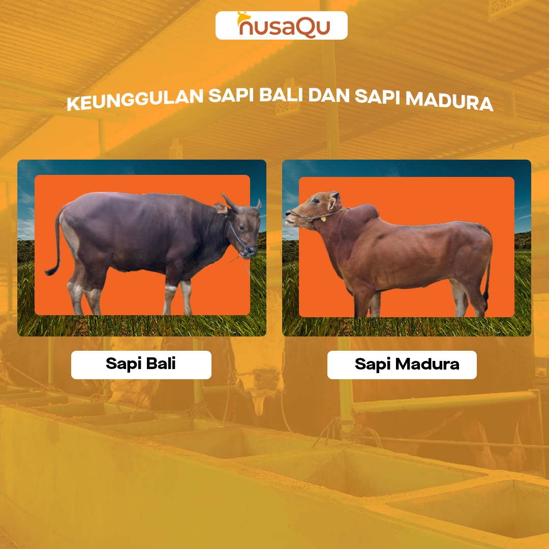 Gambar Artikel